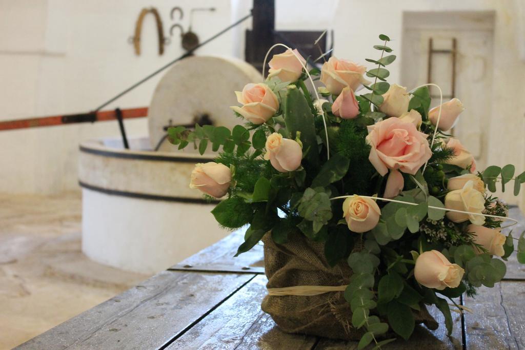 Masseria Gianecchia ชิสแตร์นีโน ภายนอก รูปภาพ