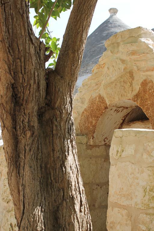 Masseria Gianecchia ชิสแตร์นีโน ภายนอก รูปภาพ