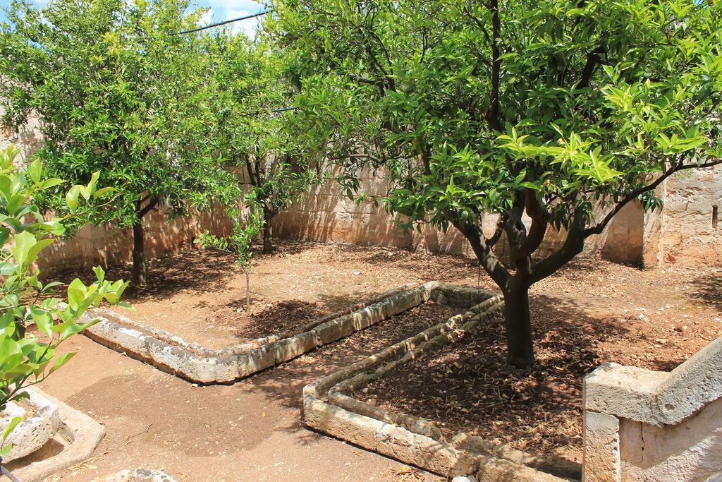 Masseria Gianecchia ชิสแตร์นีโน ภายนอก รูปภาพ